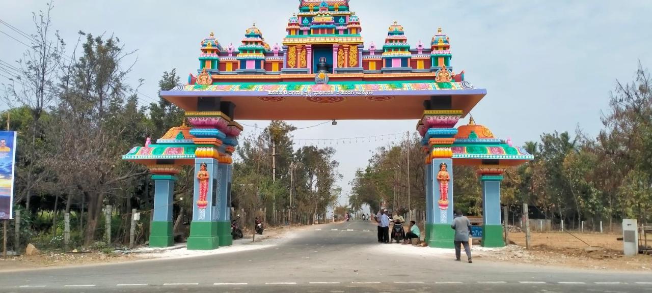 Sahasra Home Stay Hampi 霍斯佩特 外观 照片